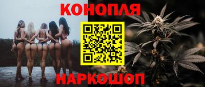 эйфоретик Аргун
