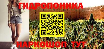 эйфоретик Аргун