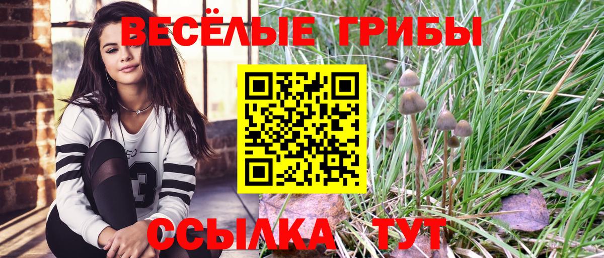 Галлюциногенные грибы ЛСД  Вход с VPN  купить закладку  Псилоцибиновые грибы ЛСД  Братск 